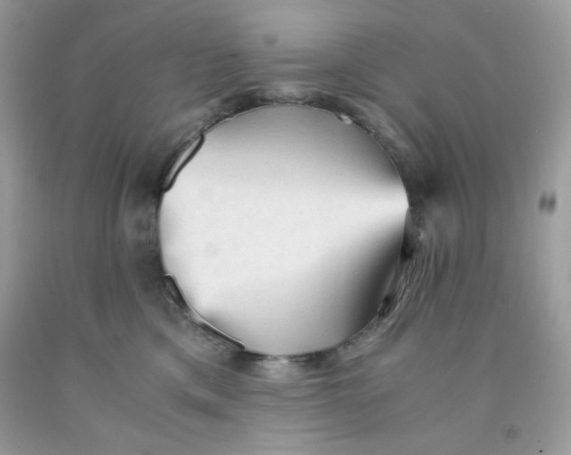 X0000091570425200709101000