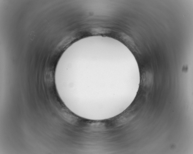 X0000091570426200709101000