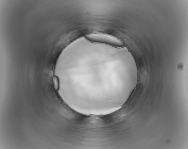 X0000091570427200709101000