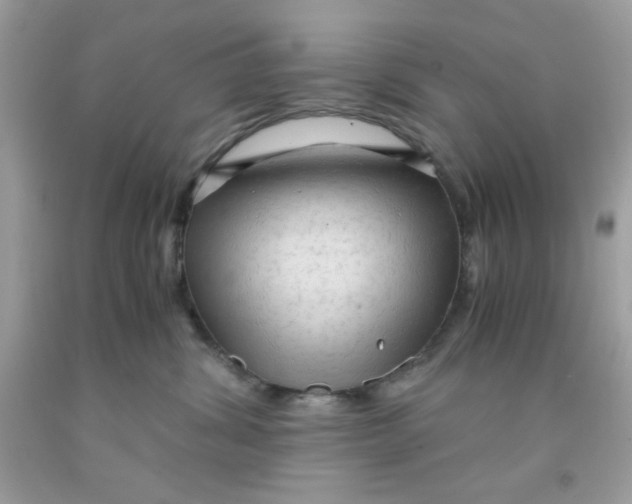 X0000091570428200709101000