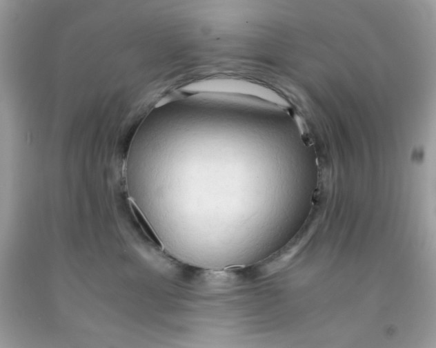 X0000091570429200709101000