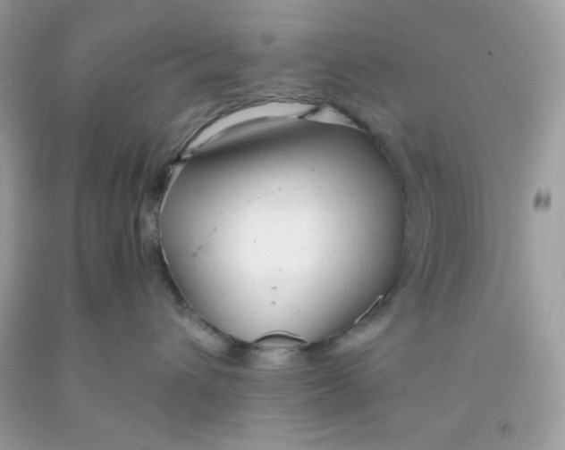 X0000091570432200709101000