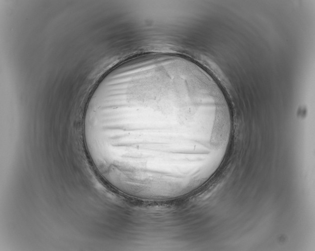 X0000091570433200709101000