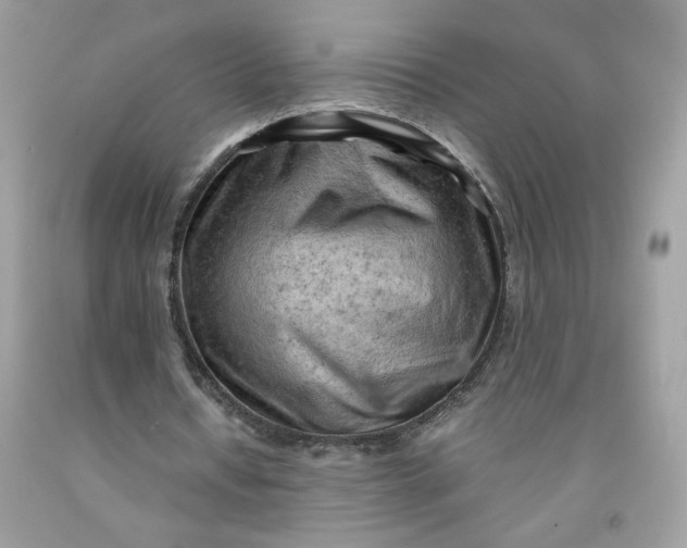 X0000091570434200709101000