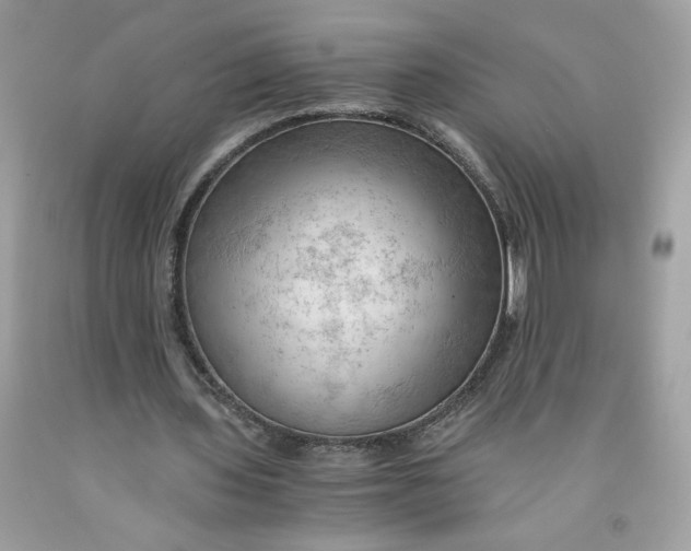 X0000091570435200709101000