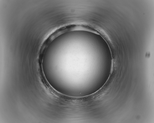 X0000091570436200709101000