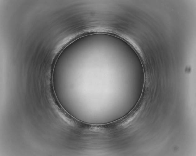 X0000091570437200709101000