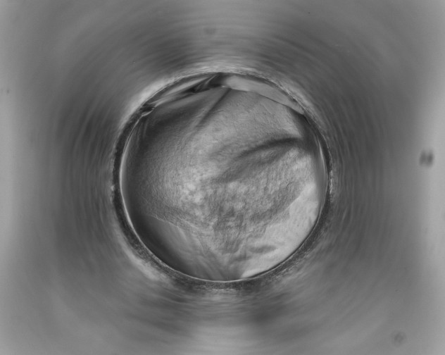 X0000091570438200709101000