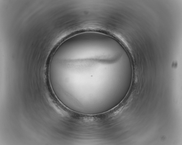 X0000091570439200709101000