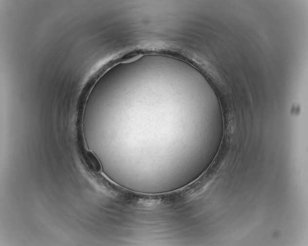 X0000091570440200709101000