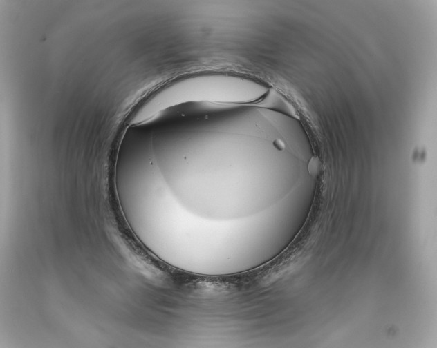 X0000091570442200709101000