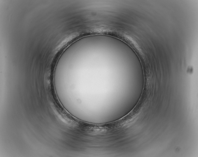 X0000091570443200709101000