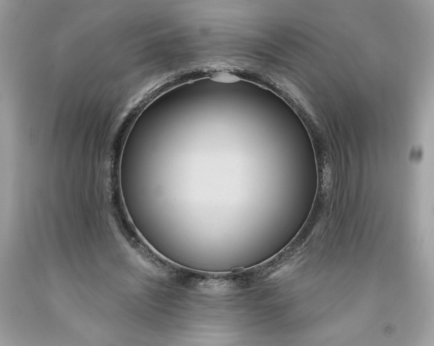 X0000091570444200709101000