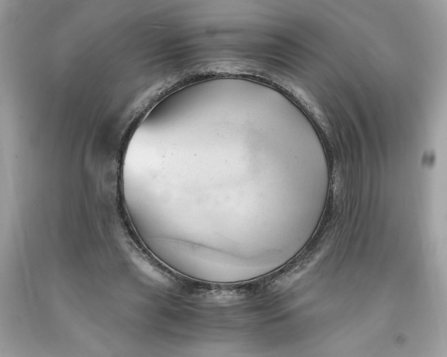 X0000091570445200709101000