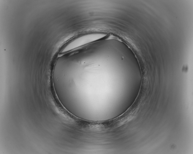 X0000091570446200709101000