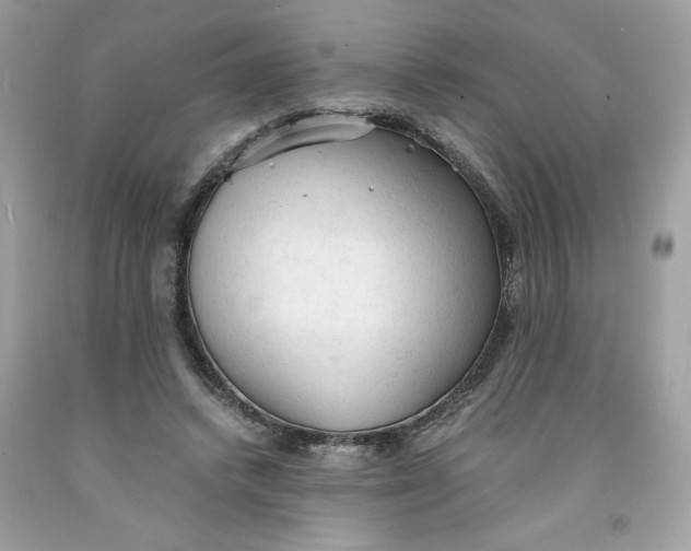 X0000091570448200709101000