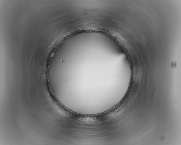 X0000091570449200709101000