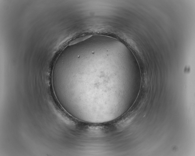 X0000091570450200709101000