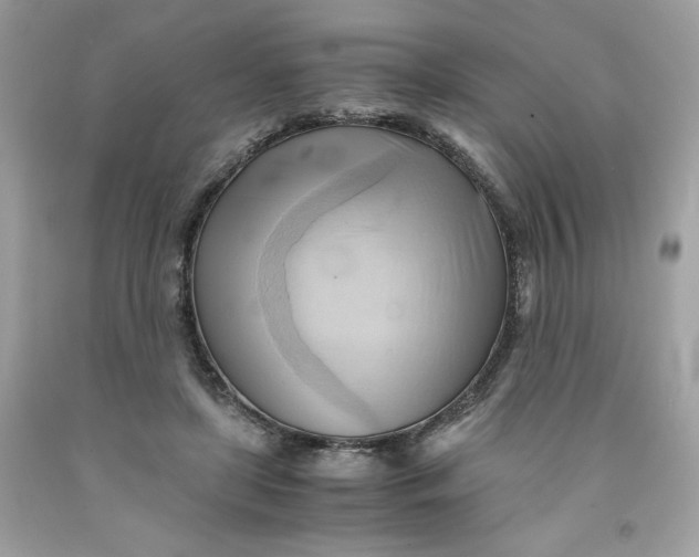 X0000091570451200709101000