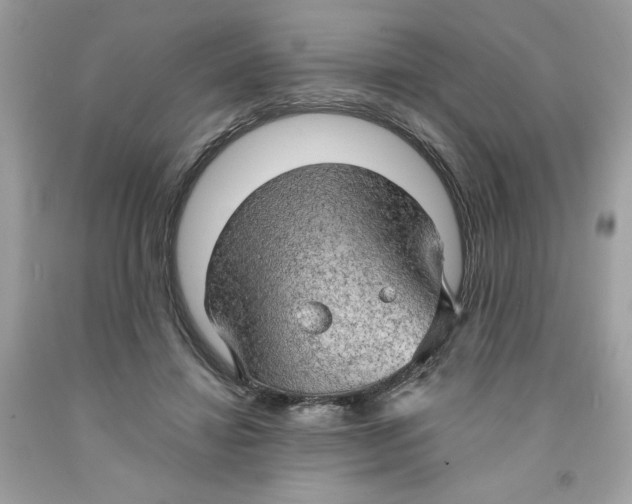 X0000091570452200709101000