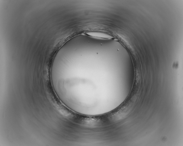 X0000091570453200709101000