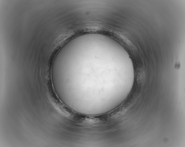 X0000091570455200709101000