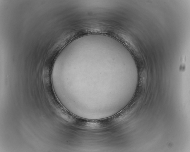 X0000091570457200709101000