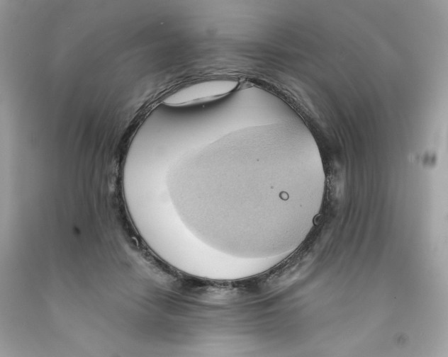 X0000091570458200709101000