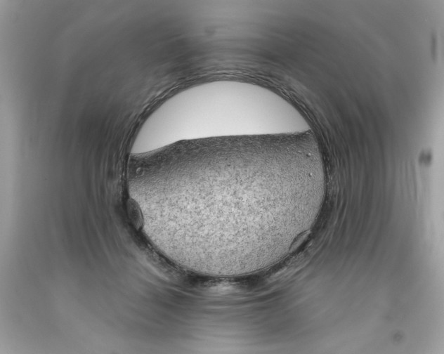 X0000091570460200709101000