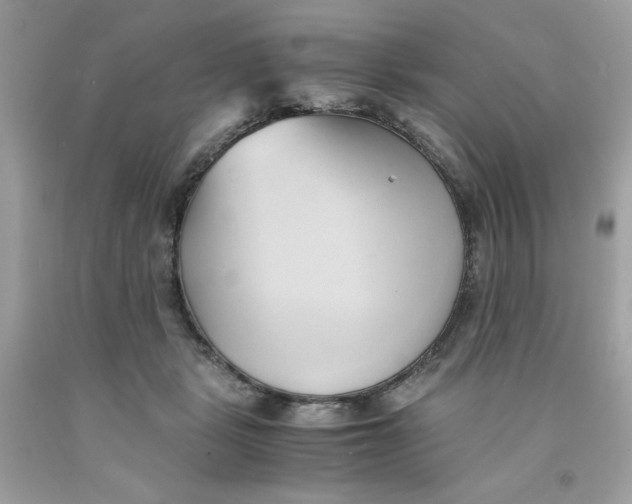 X0000091570461200709101000