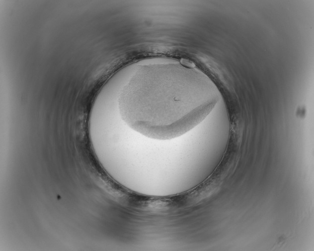 X0000091570462200709101000