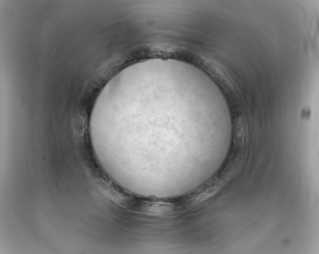 X0000091570463200709101000