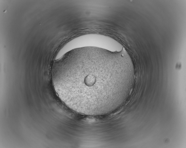 X0000091570464200709101000