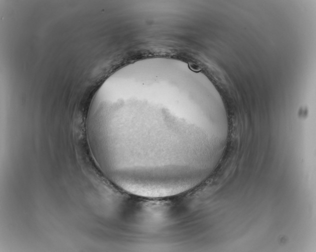 X0000091570465200709101000