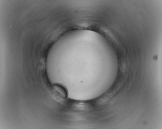 X0000091570467200709101000