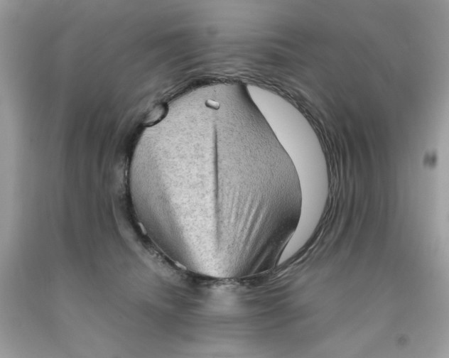 X0000091570468200709101000