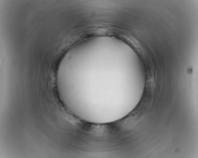 X0000091570469200709101000