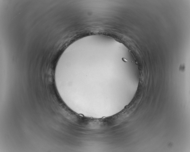 X0000091570470200709101000