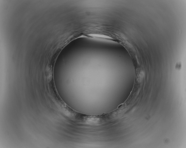 X0000091570471200709101000