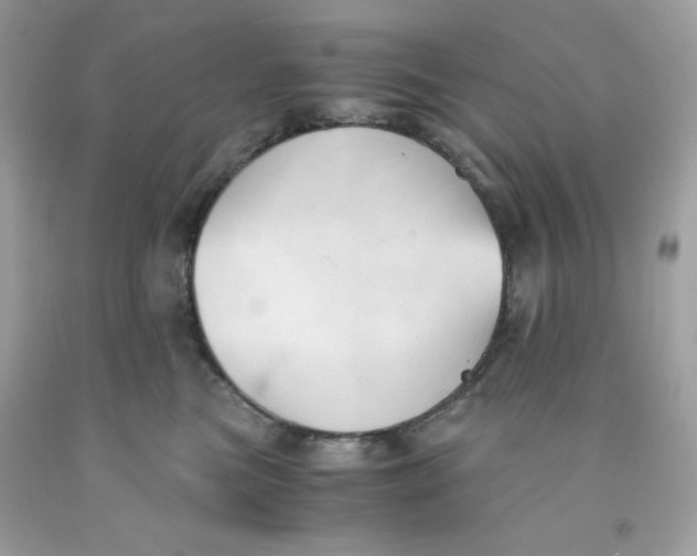 X0000091570473200709101000