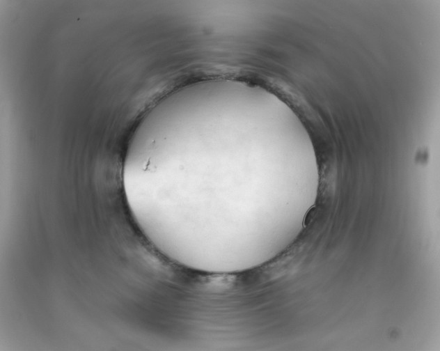 X0000091570474200709101000