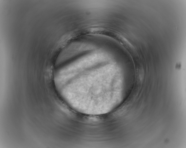 X0000091570475200709101000