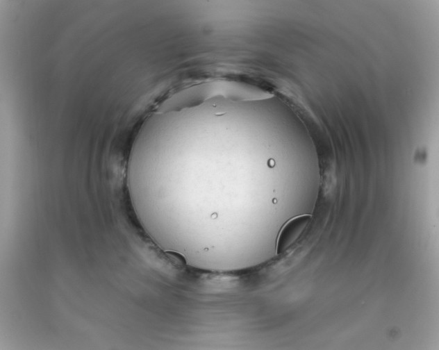 X0000091570476200709101000