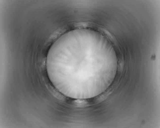 X0000091570477200709101000