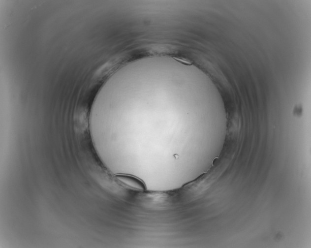 X0000091570478200709101000