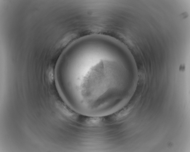 X0000091570479200709101000