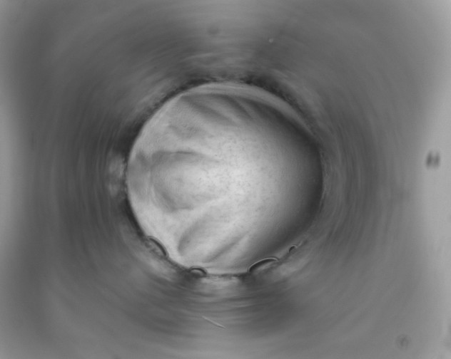 X0000091570480200709101000