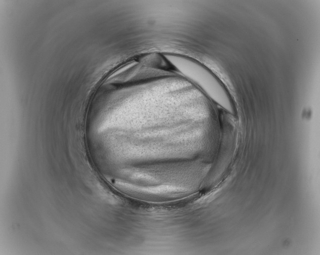 X0000091570481200709101000