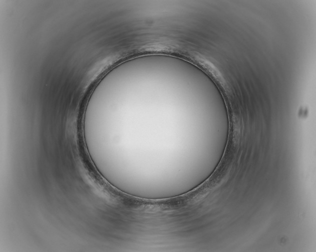 X0000091570482200709101000