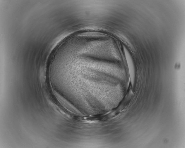 X0000091570484200709101000